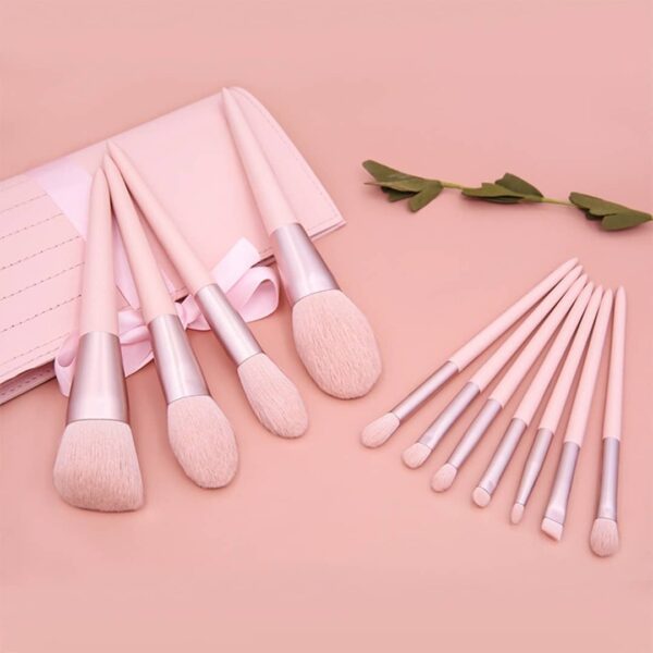Set 11 Pinceles Maquillaje Brochas Prof C/ Estuche Calidad