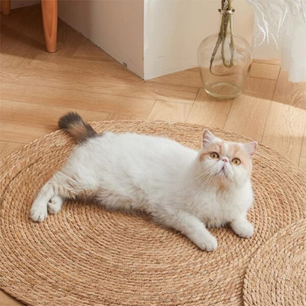 Alfombra Redonda De Rattan Sala De Estar Dormitorio - Imagen 3